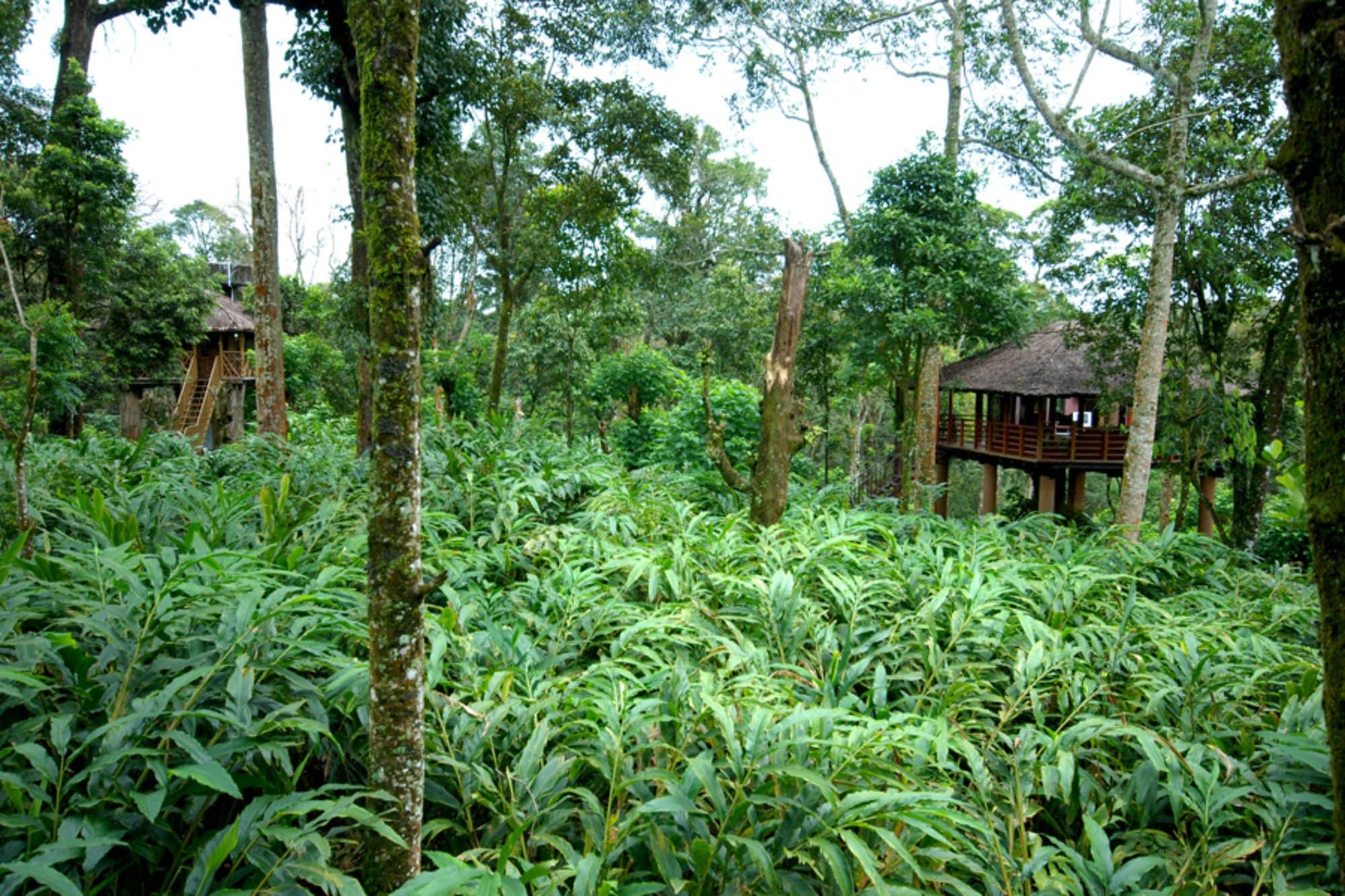 Carmelia Haven Resort Thekkady Eksteriør billede