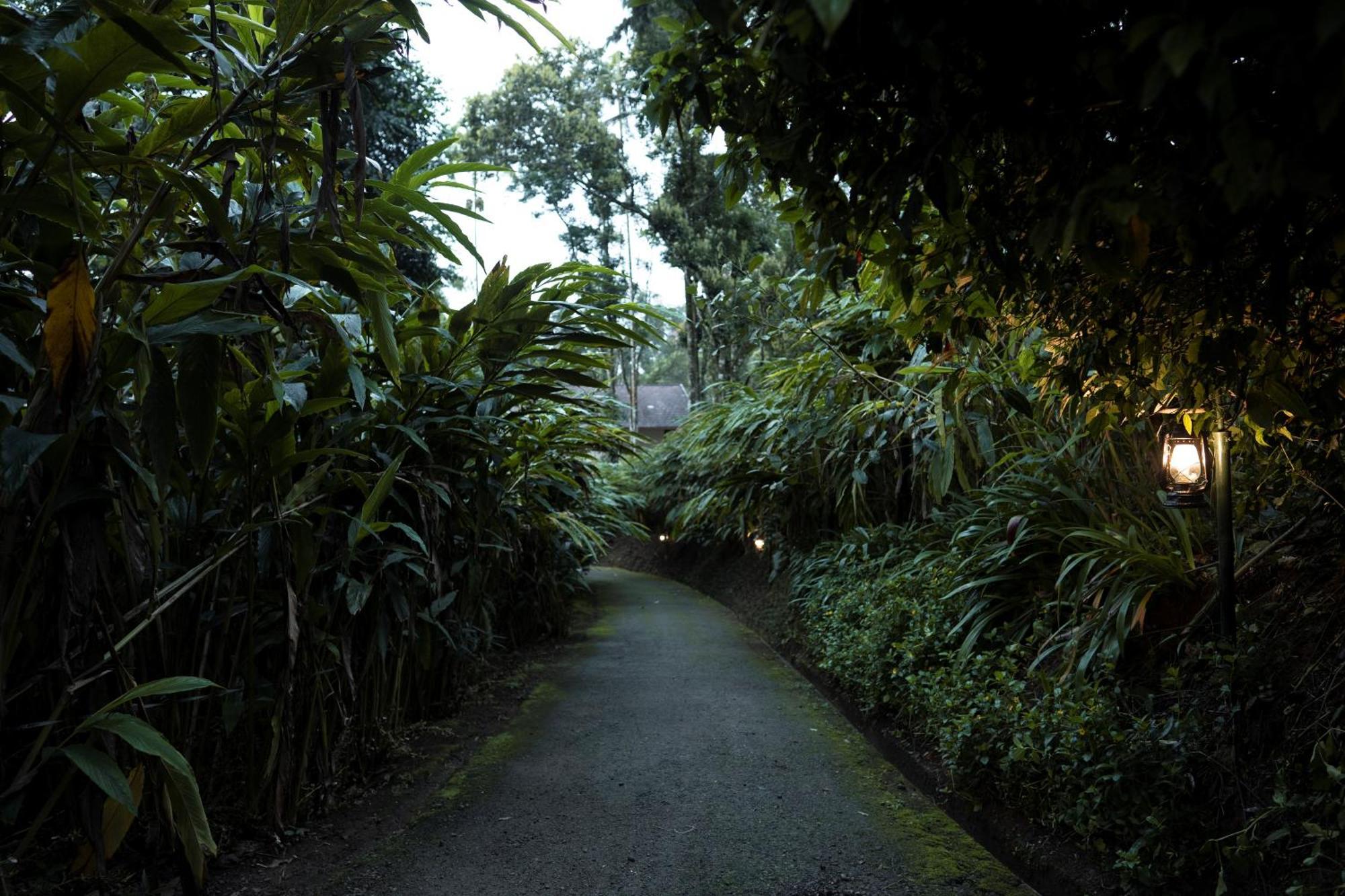 Carmelia Haven Resort Thekkady Eksteriør billede