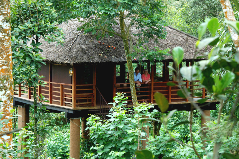 Carmelia Haven Resort Thekkady Eksteriør billede