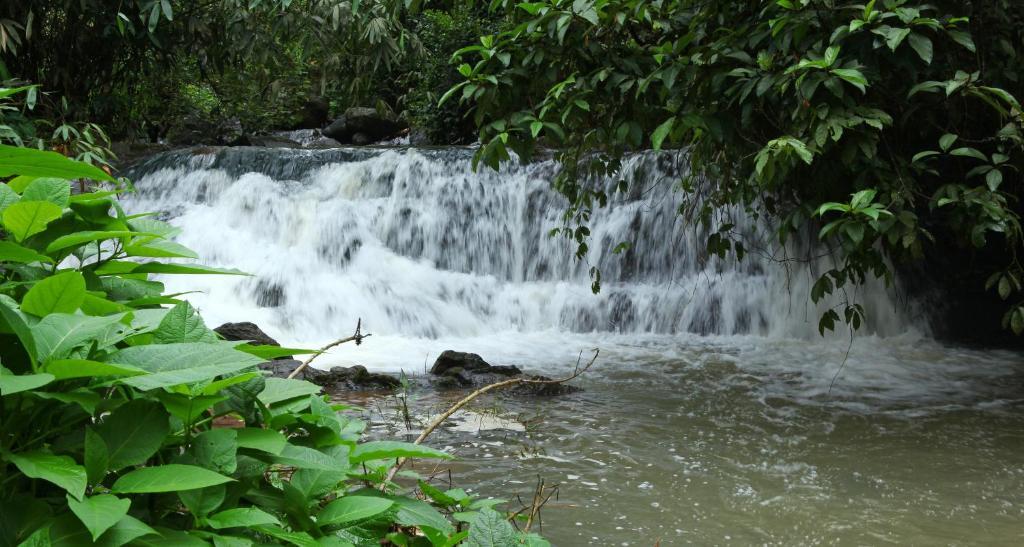 Carmelia Haven Resort Thekkady Eksteriør billede